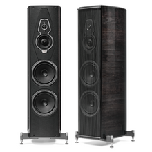 Load image into Gallery viewer, Sonus Faber Amati G5